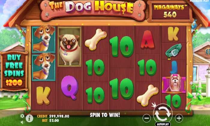 The Dog House Megaways