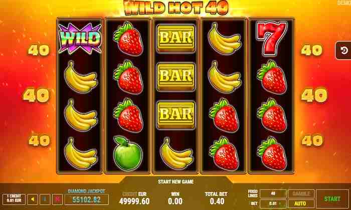 Wild Hot 40